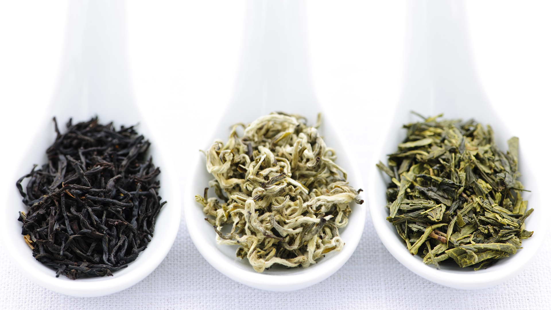 Bạch trà được xem là “vua của các loại trà” và có đến 9 công dụng tuyệt vời cho sức khỏe. Cụ thể là những công dụng gì? Bài viết này sẽ trả lời cho bạn!