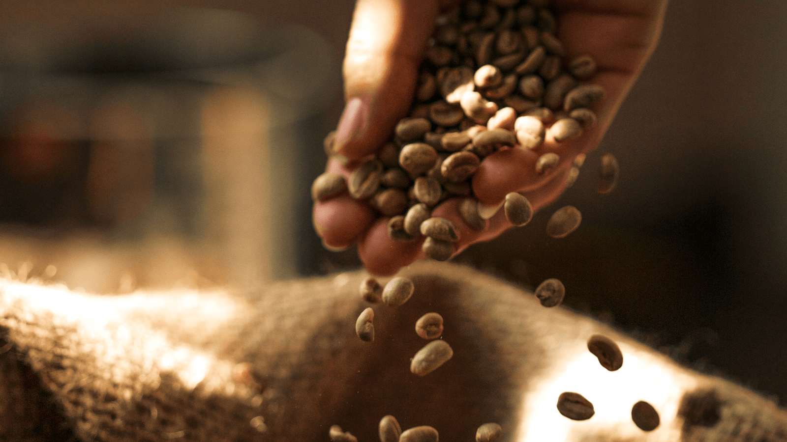 Xung quanh chuyện cà phê giảm cân, nhiều ý kiến cho rằng cà phê đen có nhiều biến thể khác nhau trong cách rang, xay, pha trộn nên hiệu quả giảm cân không bằng cà phê xanh nguyên chất. 