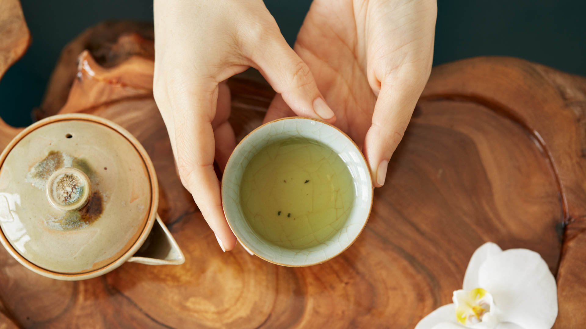 Bạch trà – Thức uống “9 tốt” cho sức khỏe