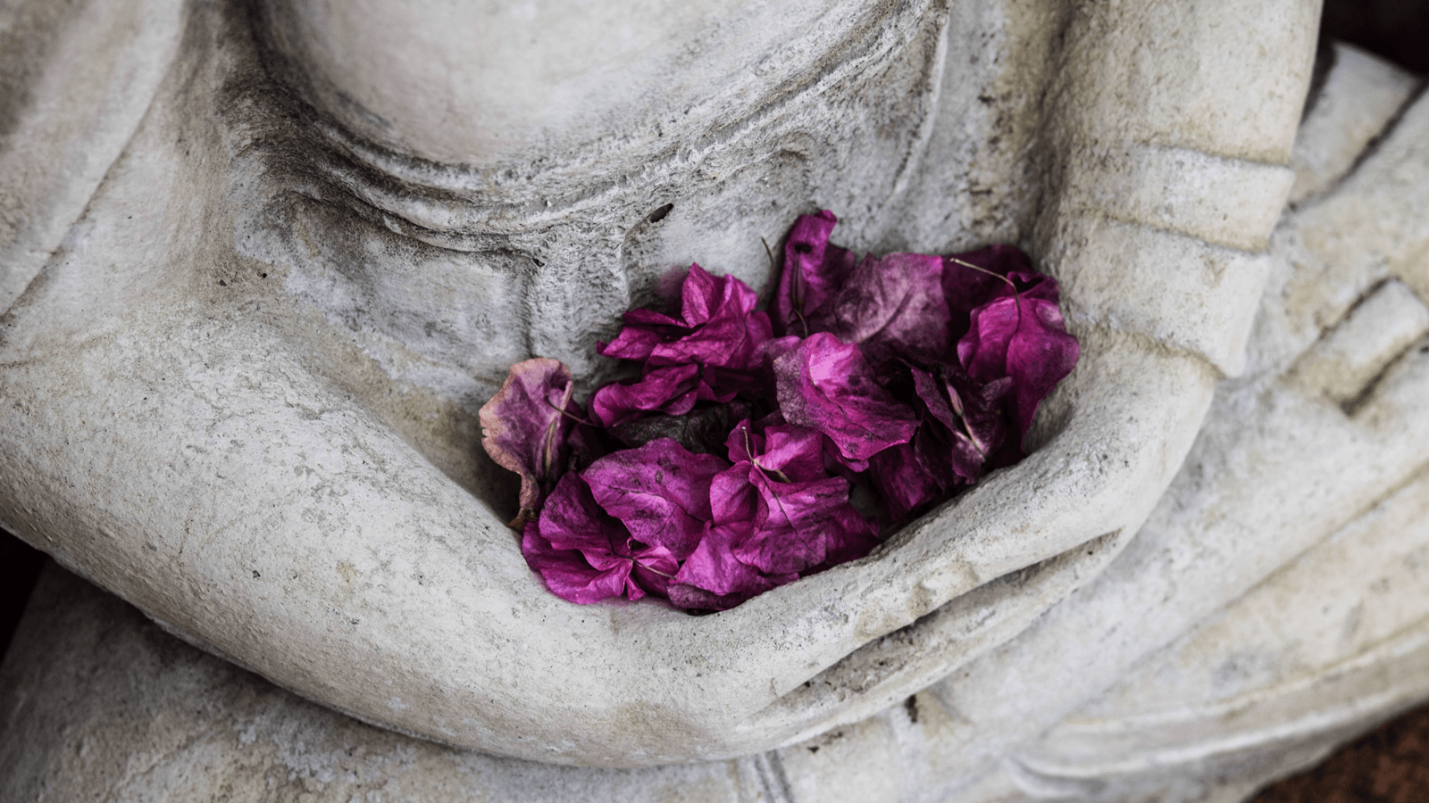 Thiền Vipassana là phương pháp luyện tập thiền cổ xưa, cách đây 2.500 năm, có nguồn gốc từ đất nước Ấn Độ, được các thiền sư dịch nghĩa là “thấy sự việc đúng như thật”. Đây chính là bí quyết giúp mang đến sự thư thái, an lạc cho tâm hồn một cách hiệu quả cao.