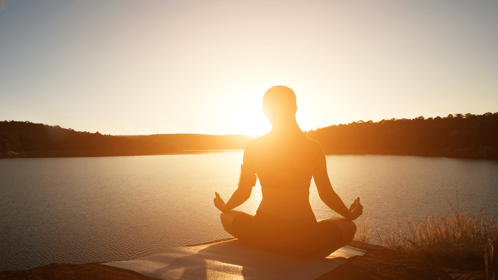 Tập yoga buổi sáng được xem là thời điểm vàng để bộ môn này phát huy tối đa hiệu quả mang lại cho sức khỏe của bạn. Điều này có đúng không? Hãy cùng GenVita tìm hiểu nhé.  